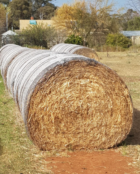 Oaten Hay 5x4 Rolls Hay & Fodder Oaten Hay For Sale